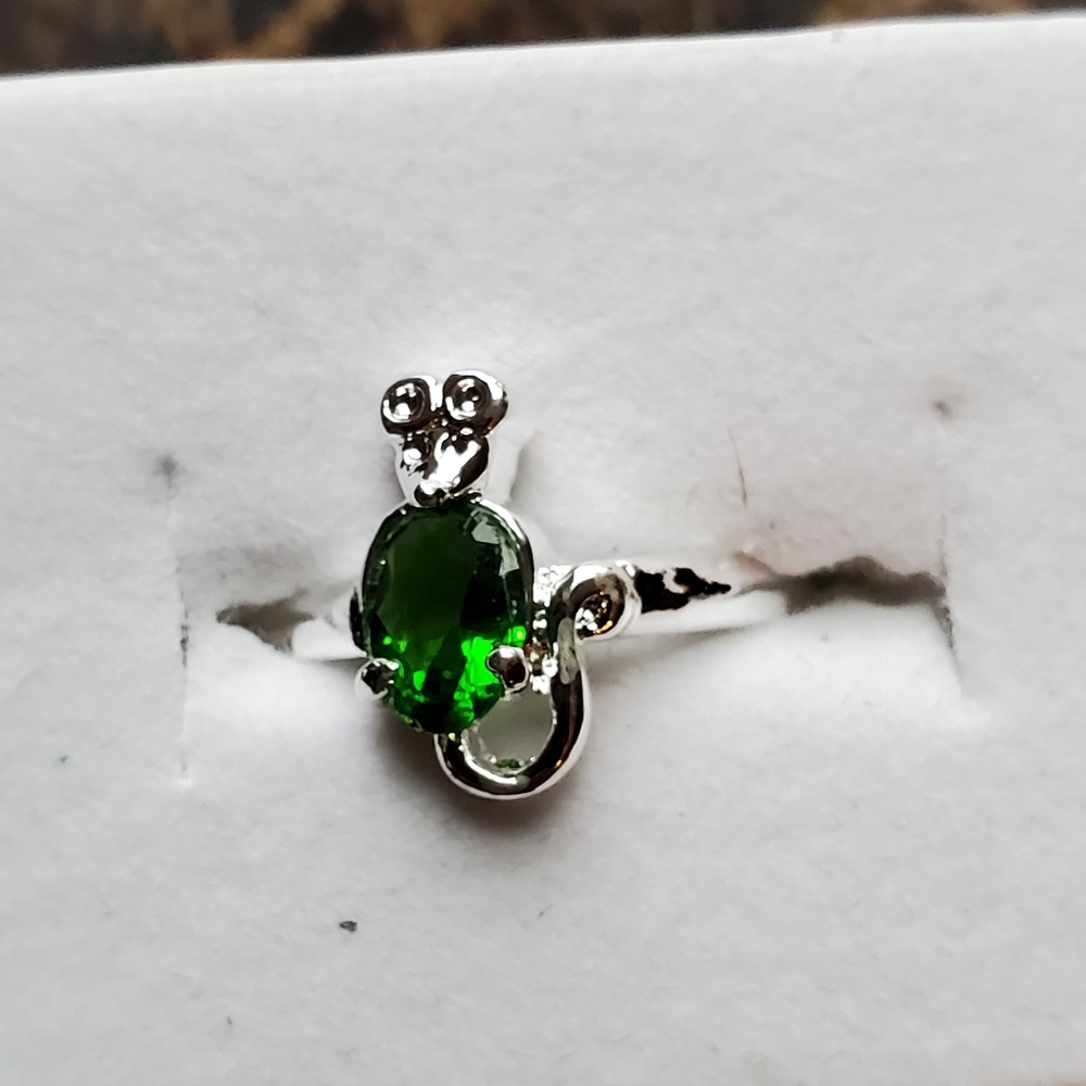 925 silver ring and earrings
